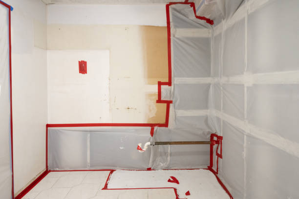 Best Real Estate Mold Inspection  in Nash, TX