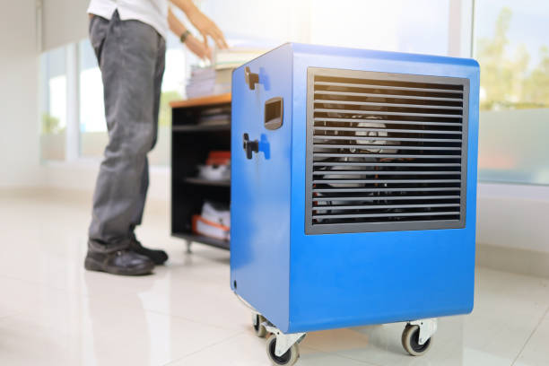 Best Attic Mold Removal  in Nash, TX